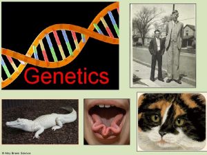 Genetics Amy Brown Science the science that studies