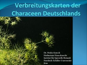 Verbreitungskarten der Characeen Deutschlands Dr Heiko Korsch Herbarium