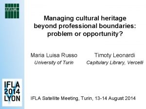 Managing cultural heritage beyond professional boundaries problem or