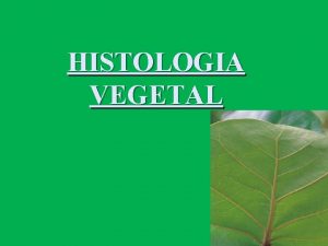 HISTOLOGIA VEGETAL Introduo Tecidos so conjuntos de clulas