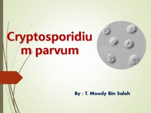 Cryptosporidiu m parvum By T Moudy Bin Saleh