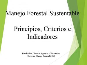 Manejo Forestal Sustentable Principios Criterios e Indicadores Facultad