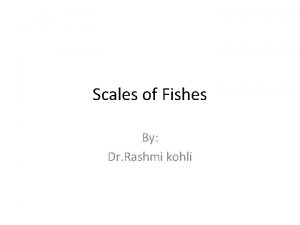 Scales of Fishes By Dr Rashmi kohli 1