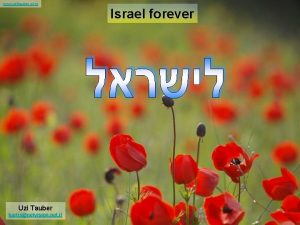 www uzitauber com Israel forever Uzi Tauber kartisnetvision