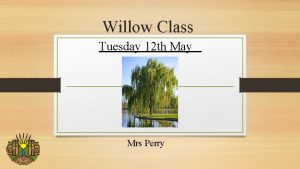 Willow Class Tuesday 12 th May Mrs Perry