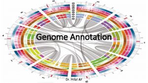 Genome Annotation Dr Hilal AY Genome annotation Genome