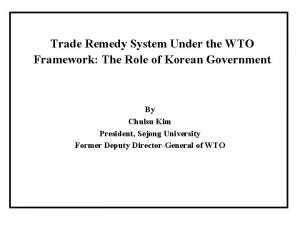 Trade Remedy System Under the WTO Framework The