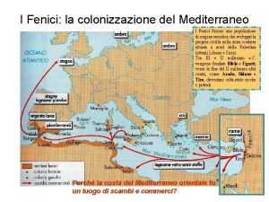 I Fenici la colonizzazione del Mediterraneo I Fenici