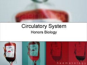 Circulatory System Honors Biology Circulatory System l Every