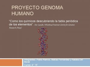 PROYECTO GENOMA HUMANO Como los qumicos descubriendo la