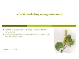 Vinski marketing in organiziranost v Primer dobre prakse