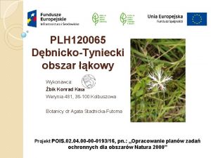 PLH 120065 DbnickoTyniecki obszar kowy Wykonawca bik Konrad