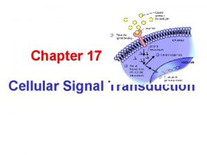 Chapter 17 Cellular Signal Transduction When environment changes