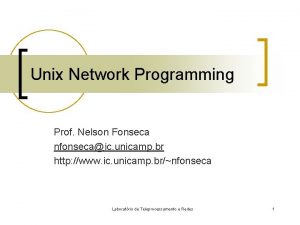 Unix Network Programming Prof Nelson Fonseca nfonsecaic unicamp