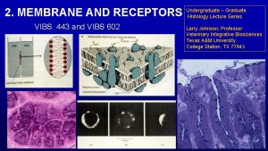 2 MEMBRANE AND RECEPTORS VIBS 443 and VIBS