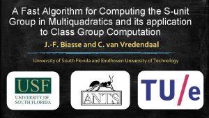 A Fast Algorithm for Computing the Sunit Group