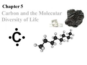 Chapter 5 Carbon and the Molecular Diversity of