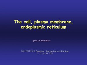 The cell plasma membrane endoplasmic reticulum prof Dr