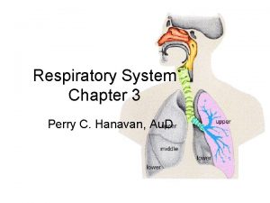 Respiratory System Chapter 3 Perry C Hanavan Au