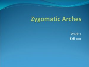Zygomatic Arches Week 7 Fall 2011 Zygomatic Arches