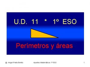 U D 11 1 ESO Permetros y reas