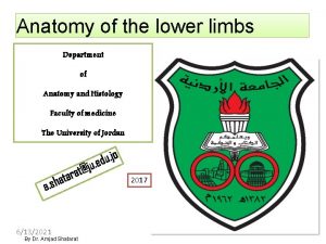 Anatomy of the lower limbs Department of Anatomy