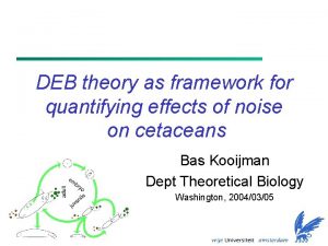 DEB theory as framework for quantifying effects of