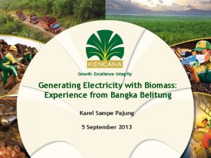 Generating Electricity with Biomass Experience from Bangka Belitung