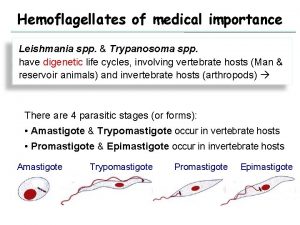 Hemoflagellates of medical importance Leishmania spp Trypanosoma spp