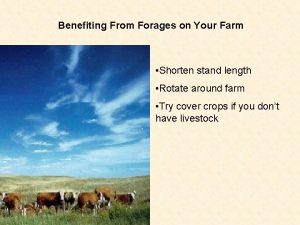 Benefiting From Forages on Your Farm Shorten stand