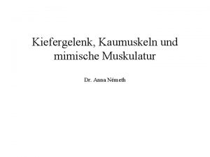 Kiefergelenk Kaumuskeln und mimische Muskulatur Dr Anna Nmeth