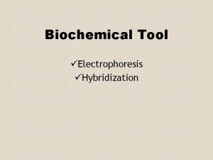 Biochemical Tool Electrophoresis Hybridization Electrophoresis Electro flow of