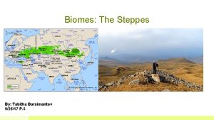 Biomes The Steppes By Tabitha Barsimantov 92617 P