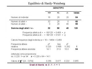 Equilibrio di HardyWeinberg GENOTIPO totale Numero di individui