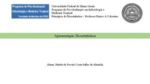 Universidade Federal de Minas Gerais Programa de PsGraduao