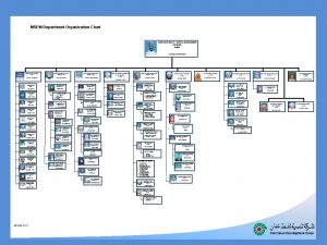 Organization chart hse department