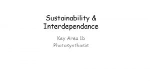 Sustainability Interdependance Key Area 1 b Photosynthesis Photosynthesis