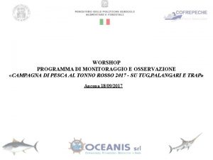 WORSHOP PROGRAMMA DI MONITORAGGIO E OSSERVAZIONE CAMPAGNA DI