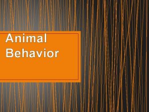 Animal Behavior Animal Behavior Behavior the way an