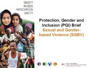Protection Gender and Inclusion PGI Brief Sexual and