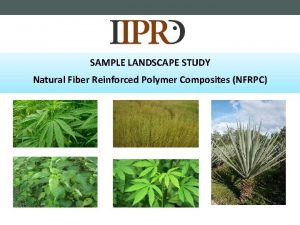 SAMPLE LANDSCAPE STUDY Natural Fiber Reinforced Polymer Composites