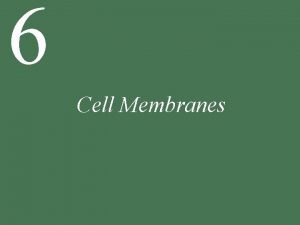 6 Cell Membranes 6 Cell Membranes 6 1