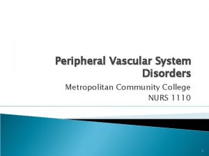 Peripheral Vascular System Disorders Metropolitan Community College NURS