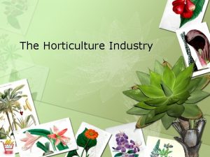 The Horticulture Industry What is Horticulture Horticulture is