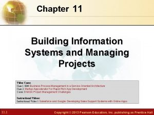 Chapter 11 Building Information Systems and Managing Projects