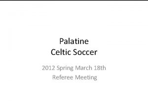 Palatine celtic soccer