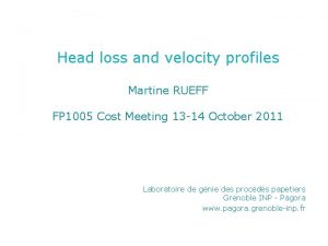 Head loss and velocity profiles Martine RUEFF FP