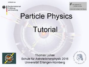 Particle Physics Tutorial Thomas Lohse Schule fr Astroteilchenphysik