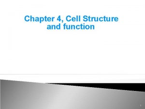 Chapter 4 Cell Structure and function Cell Structure