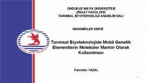 ONDOKUZ MAYIS NVERSTES ZRAAT FAKLTES TARIMSAL BYOTEKNOLOJ ANABLM